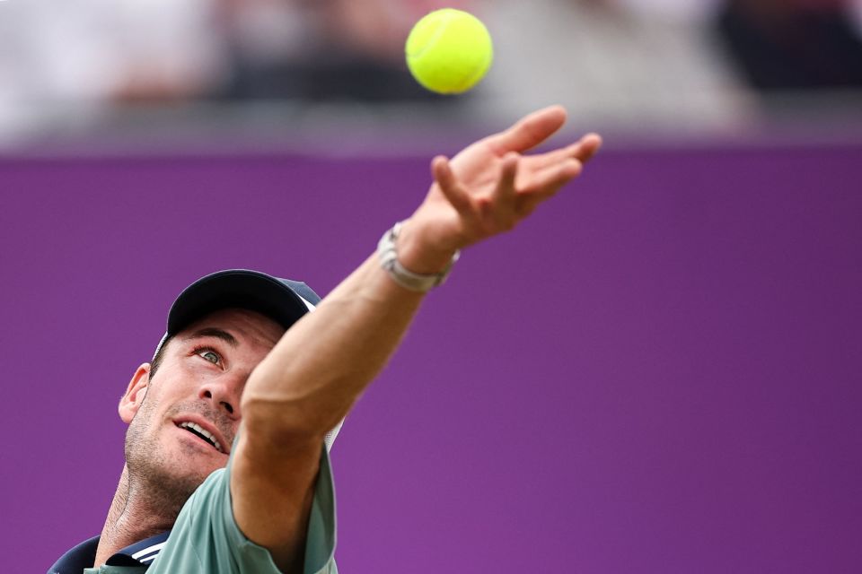 何诗蓓的职 何诗蓓的职