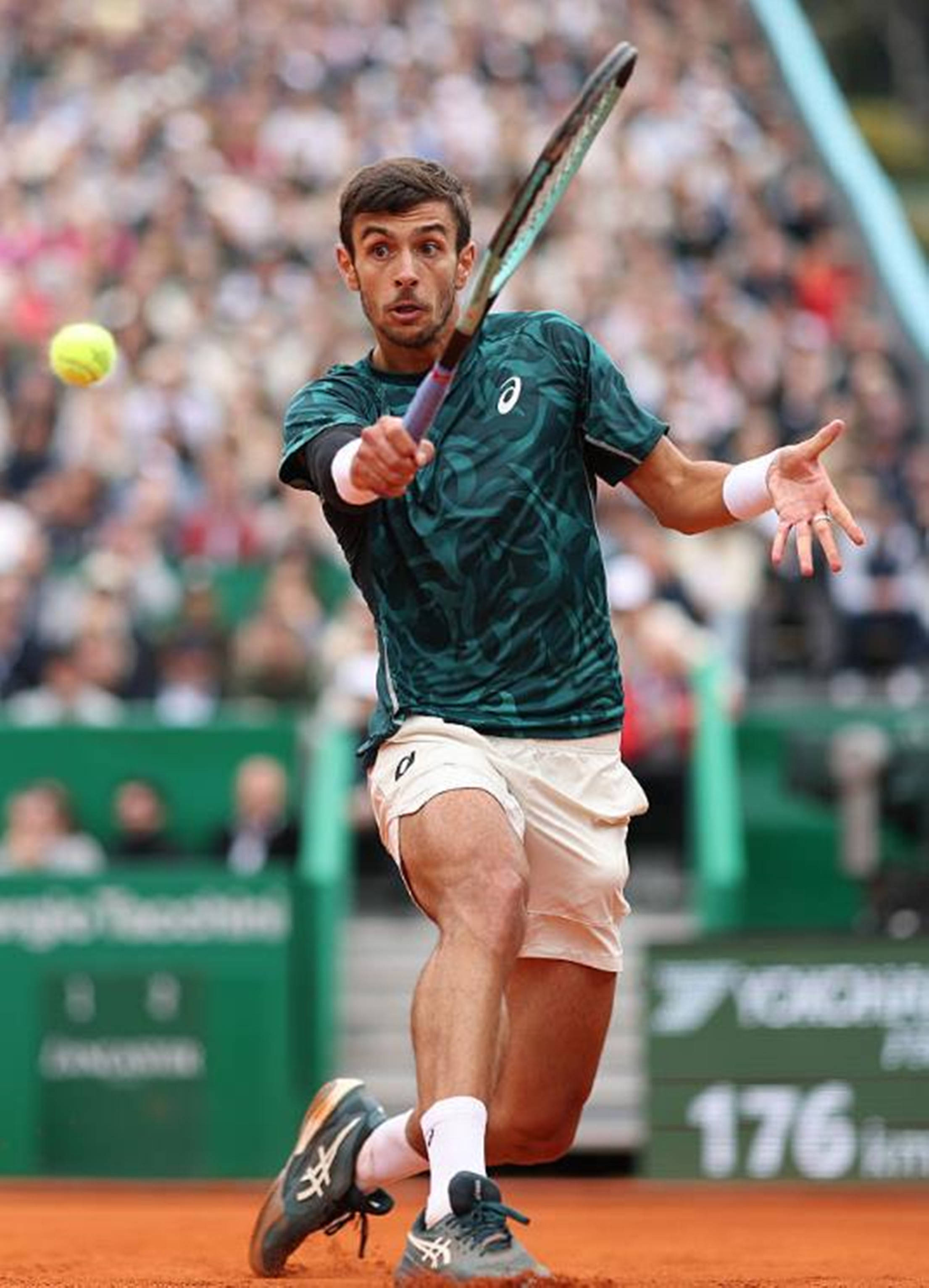 月度跃升通 月度跃升通