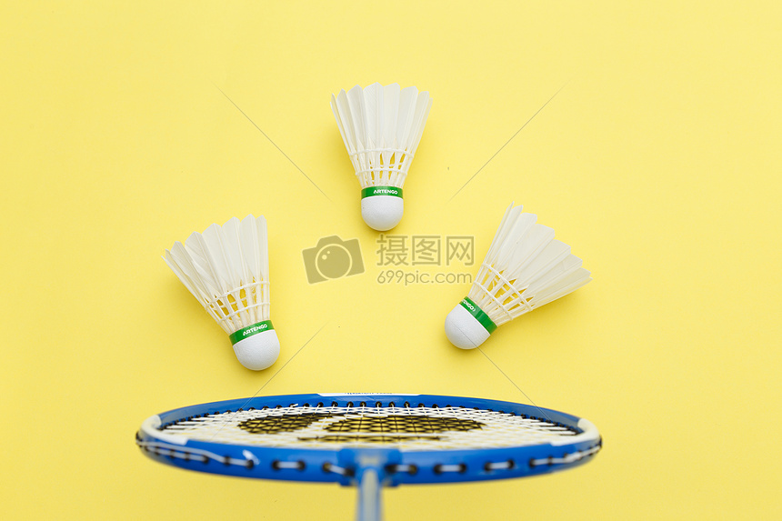 rd教练效